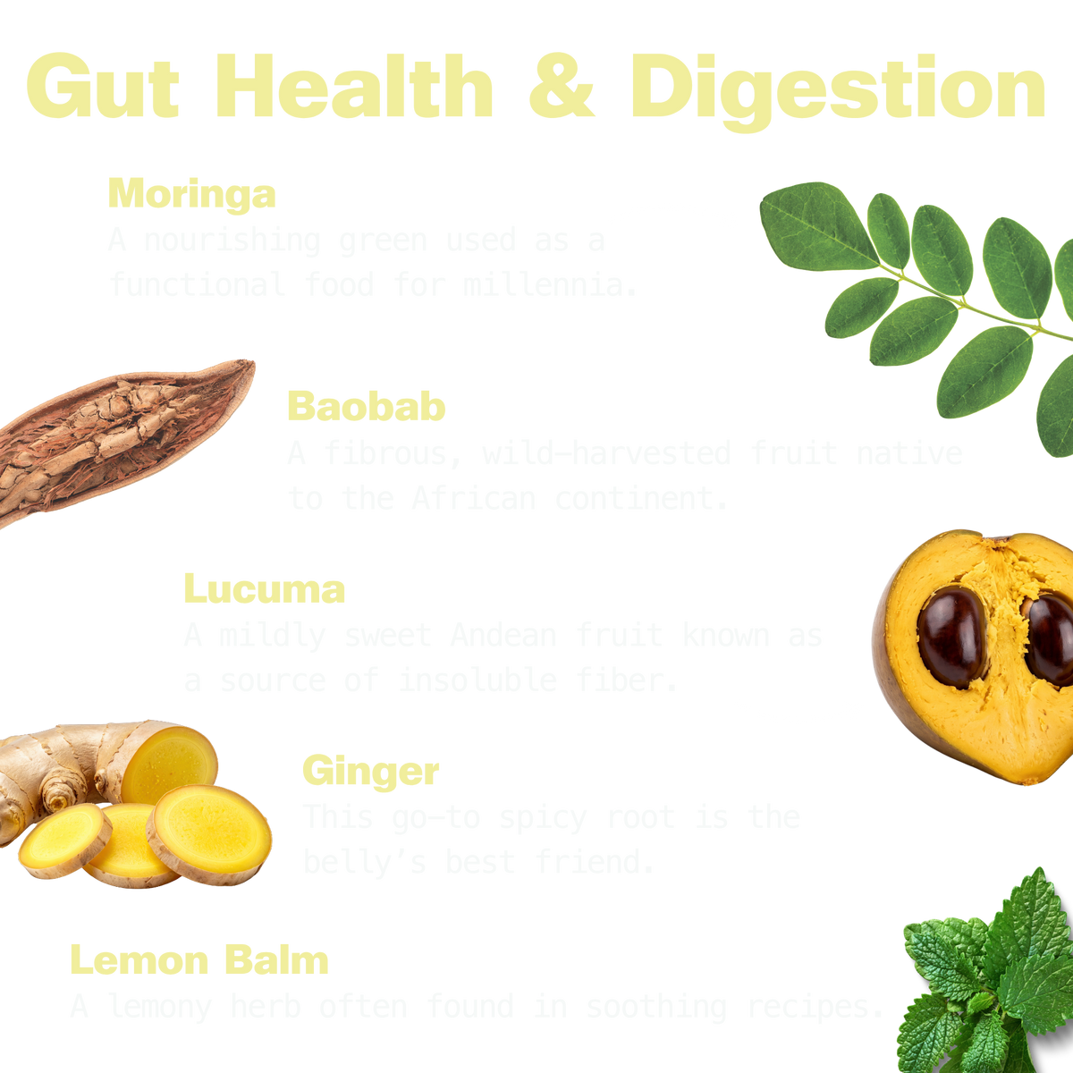 Gut Bliss for Digestive Support