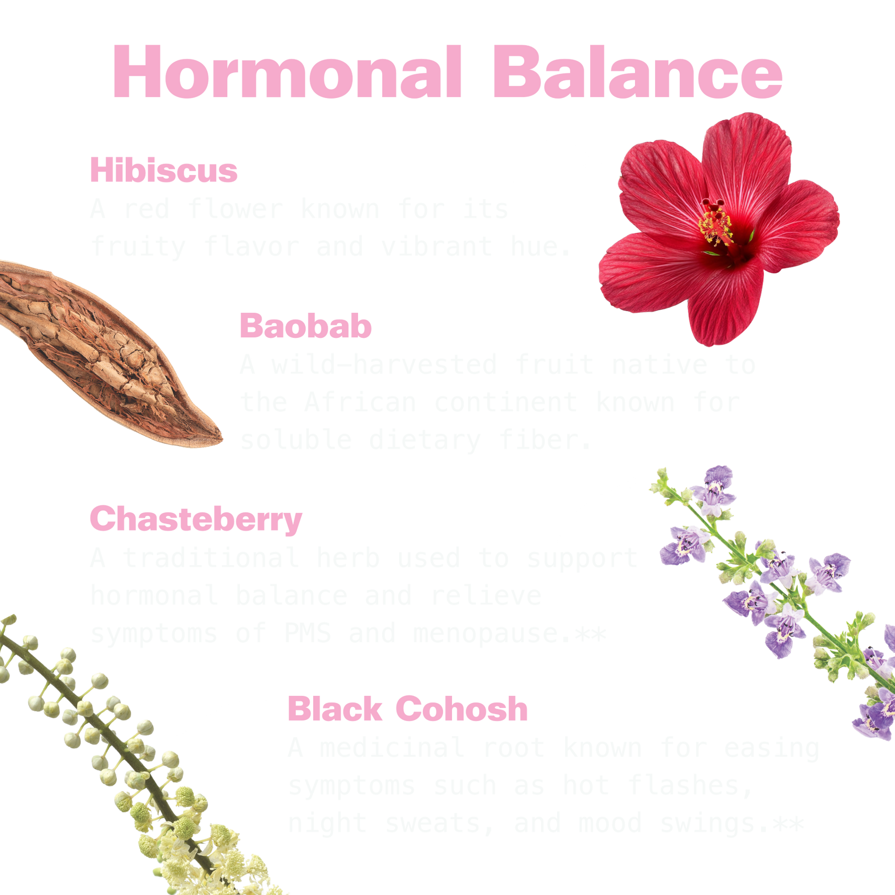 Her Power Superfood Drink Mix