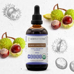 Horse Chestnut Tincture