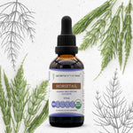 Horsetail Tincture