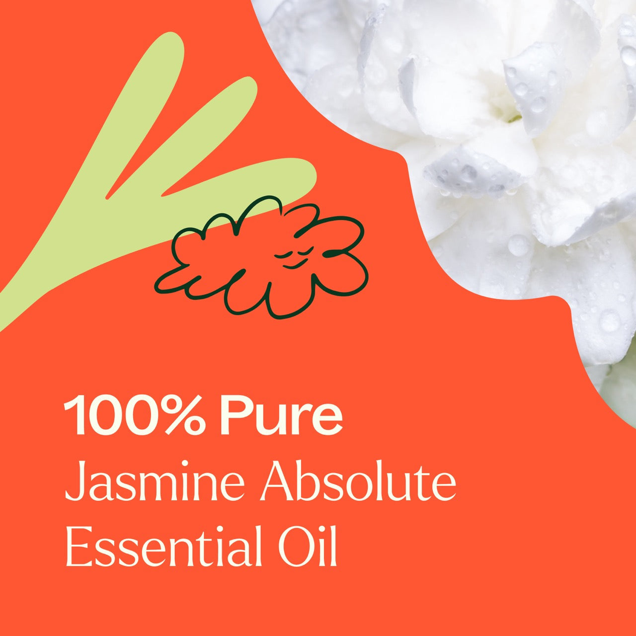 Jasmine Sambac Pure Absolute