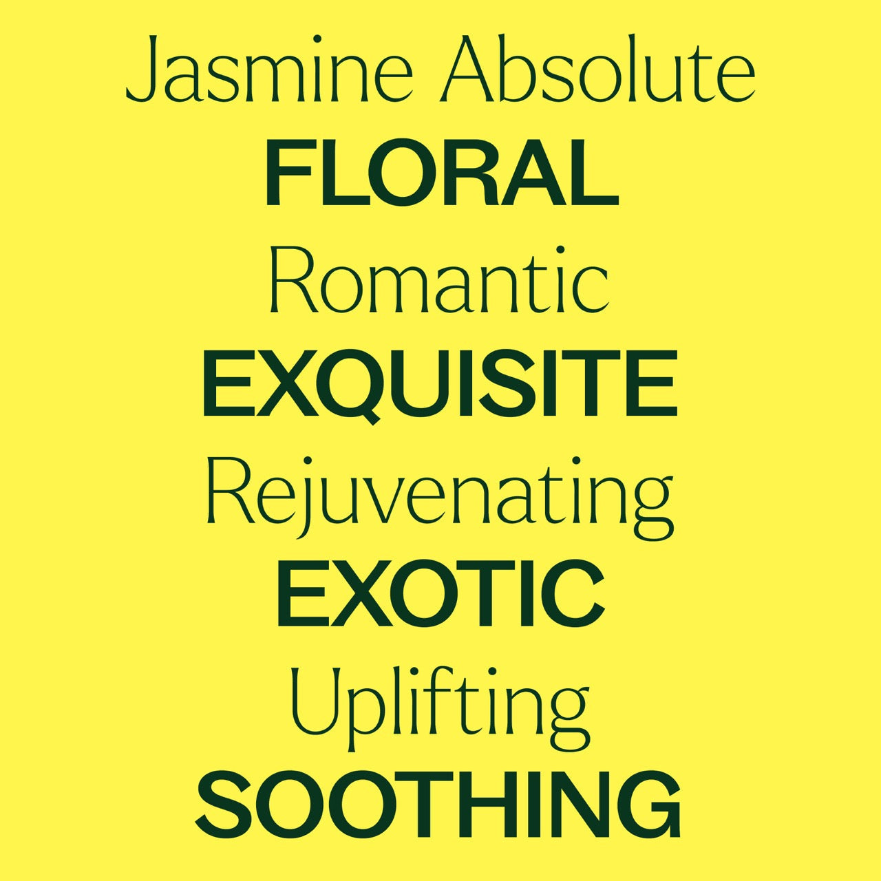 Jasmine Sambac Pure Absolute