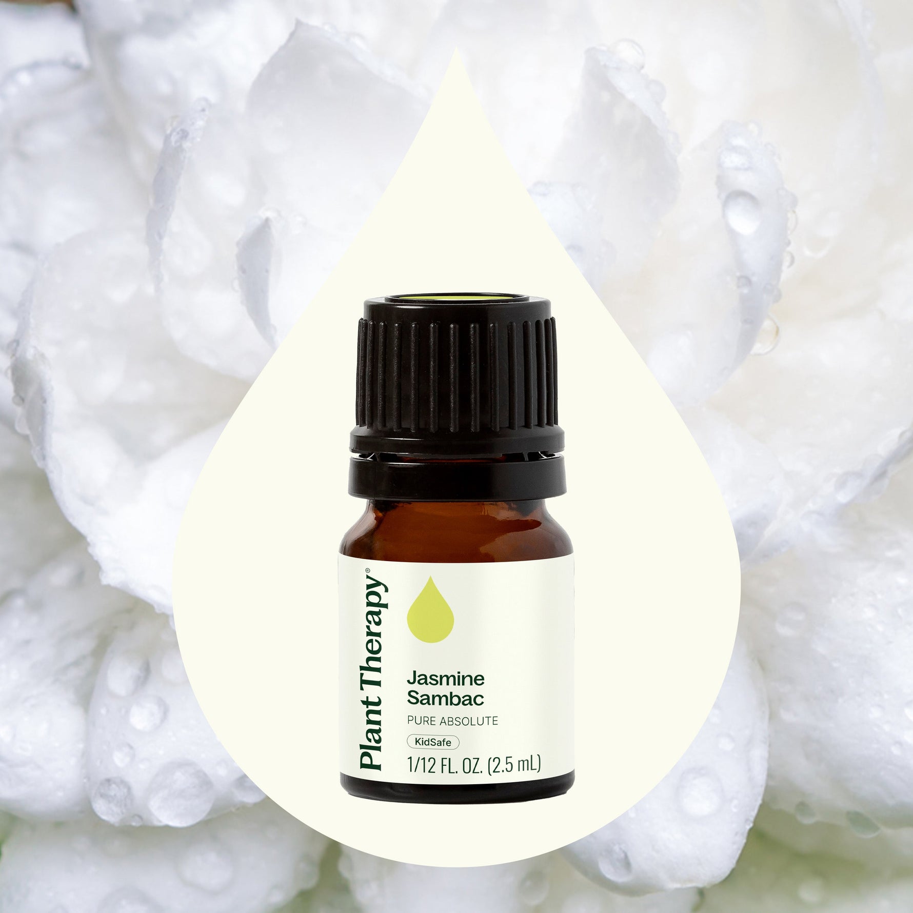 Jasmine Sambac Pure Absolute