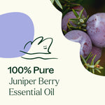 Juniper Berry Essential Oil