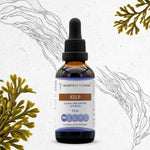 Kelp Tincture