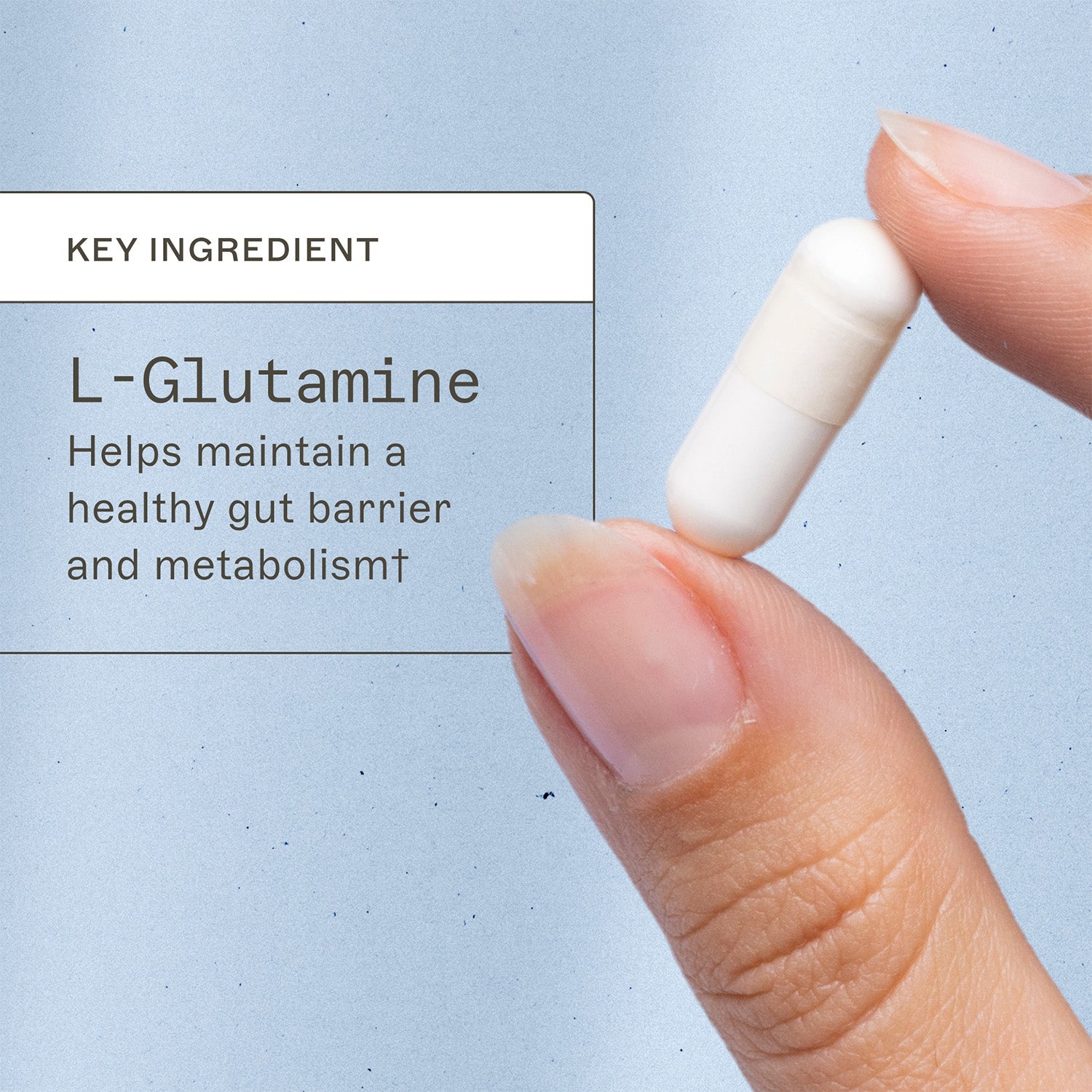 L-Glutamine Capsules