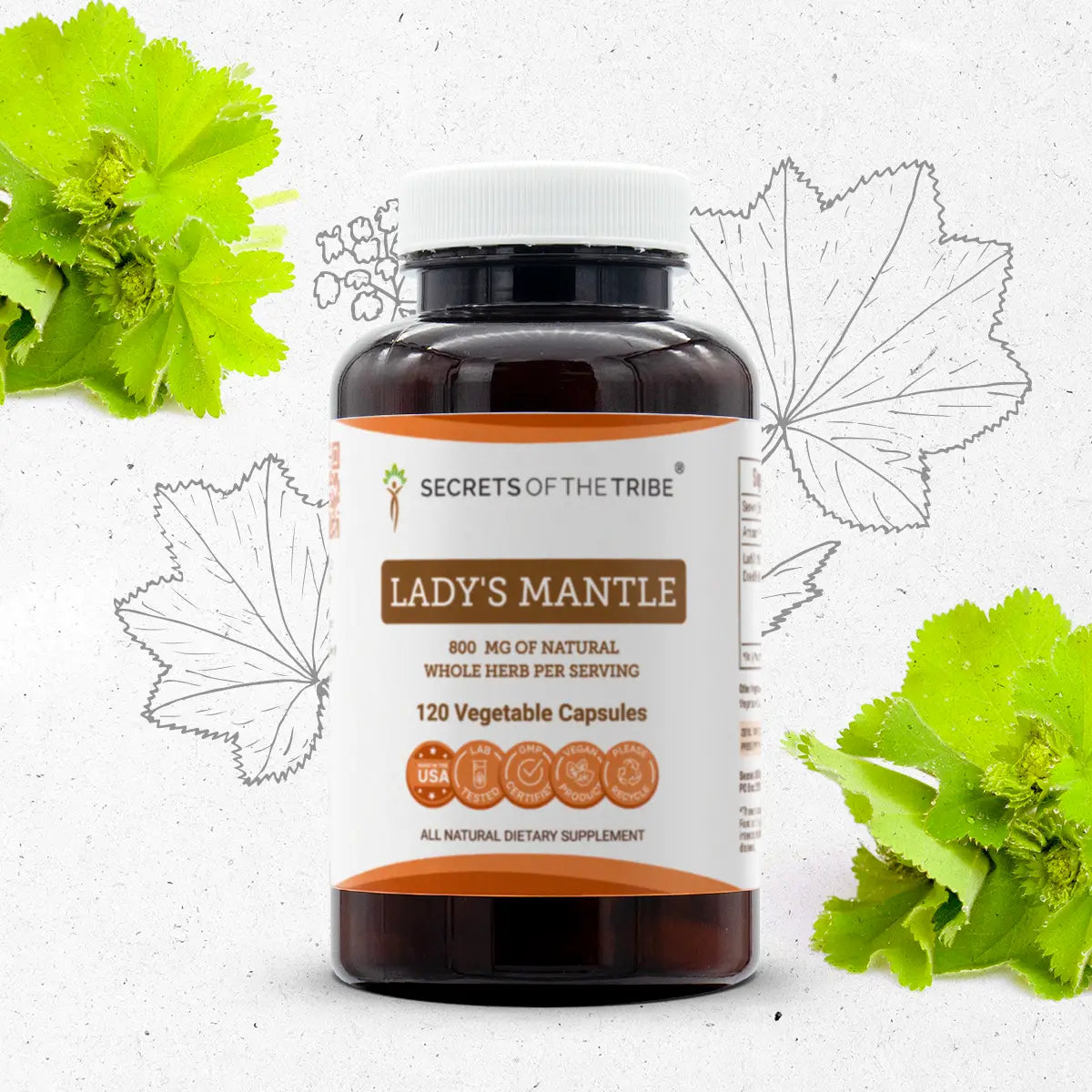 Lady's Mantle Capsules