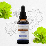 Lady's Mantle Tincture