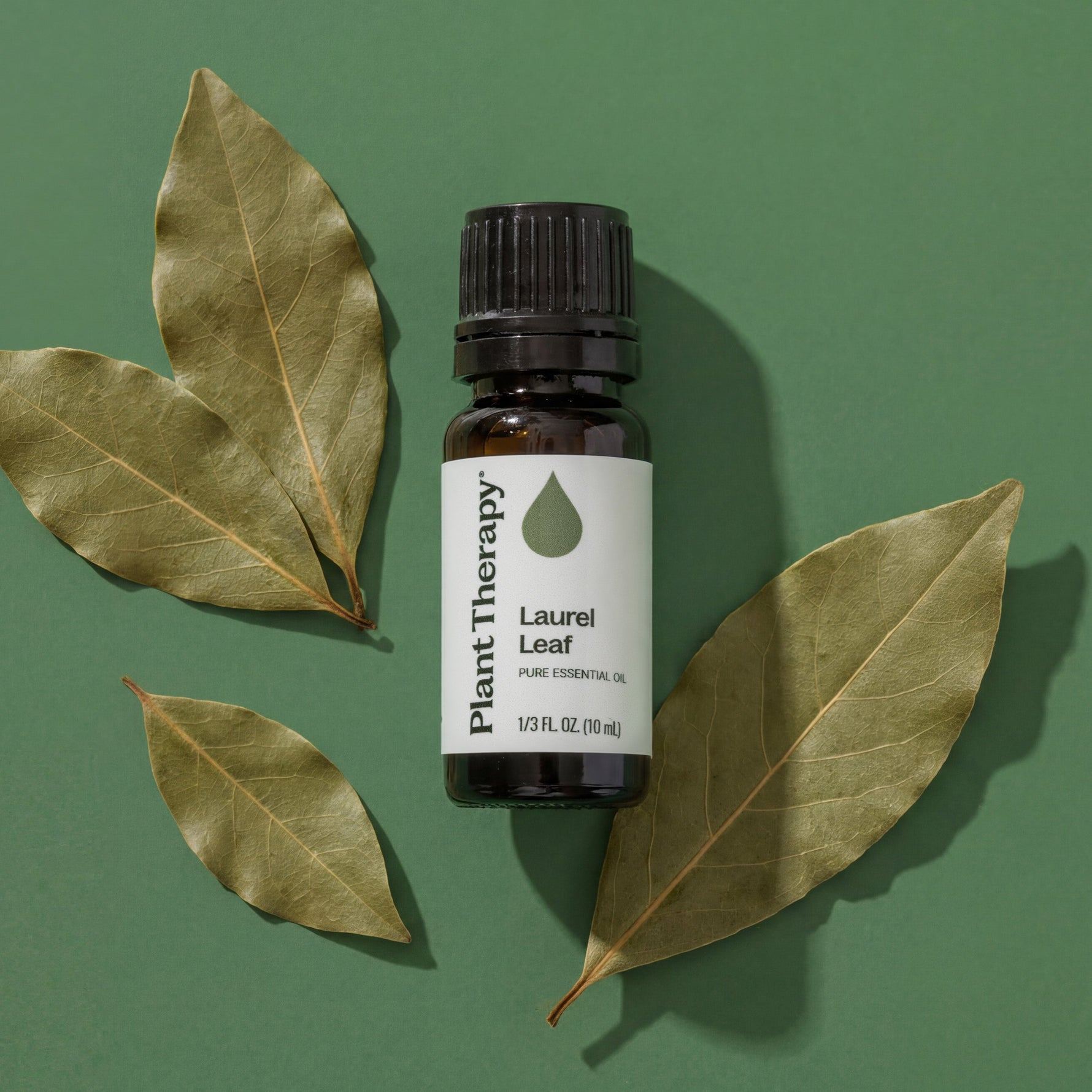 Laurel Leaf Essential Oil