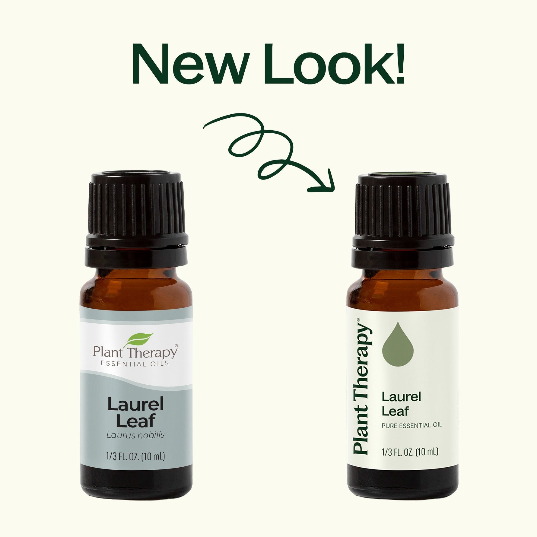 Laurel Leaf Essential Oil
