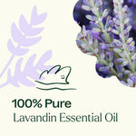 Lavandin Essential Oil
