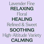 Lavender Fine Essential Oil