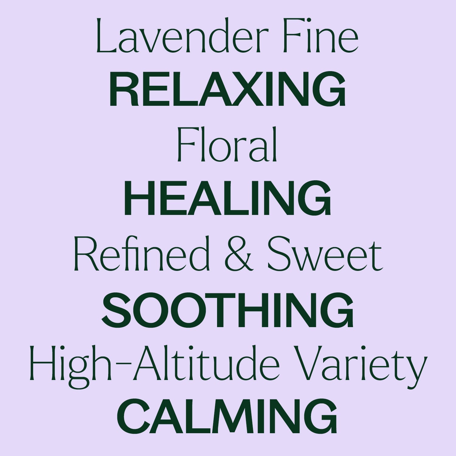 Lavender Fine Essential Oil