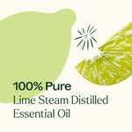Lime Steam Distilled Essential Oil