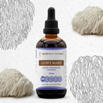Lion's Mane Tincture