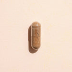 Lion's Mane Herbal Supplement - 120 Capsules