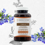 Lobelia Capsules