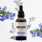 Lobelia Tincture