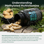 Methylated Whole Food Multivitamin
