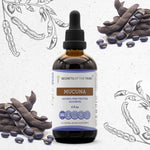 Mucuna Tincture