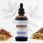 Muira Puama Tincture