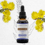 Mullein Flower Tincture