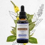 Mullein Leaf Tincture