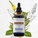 Mullein Leaf Tincture