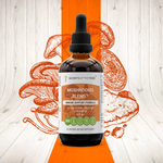 Mushrooms Blend - Immune Support Formula