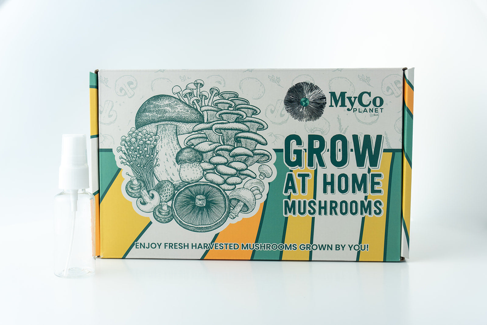 Organic Lion’s Mane Grow Kit