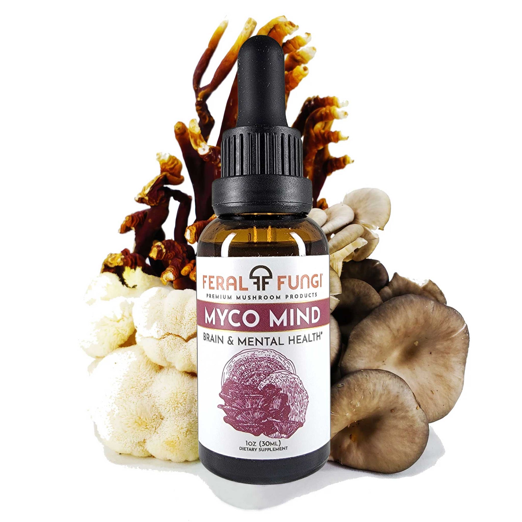 Myco-Mind Spagyric Tincture