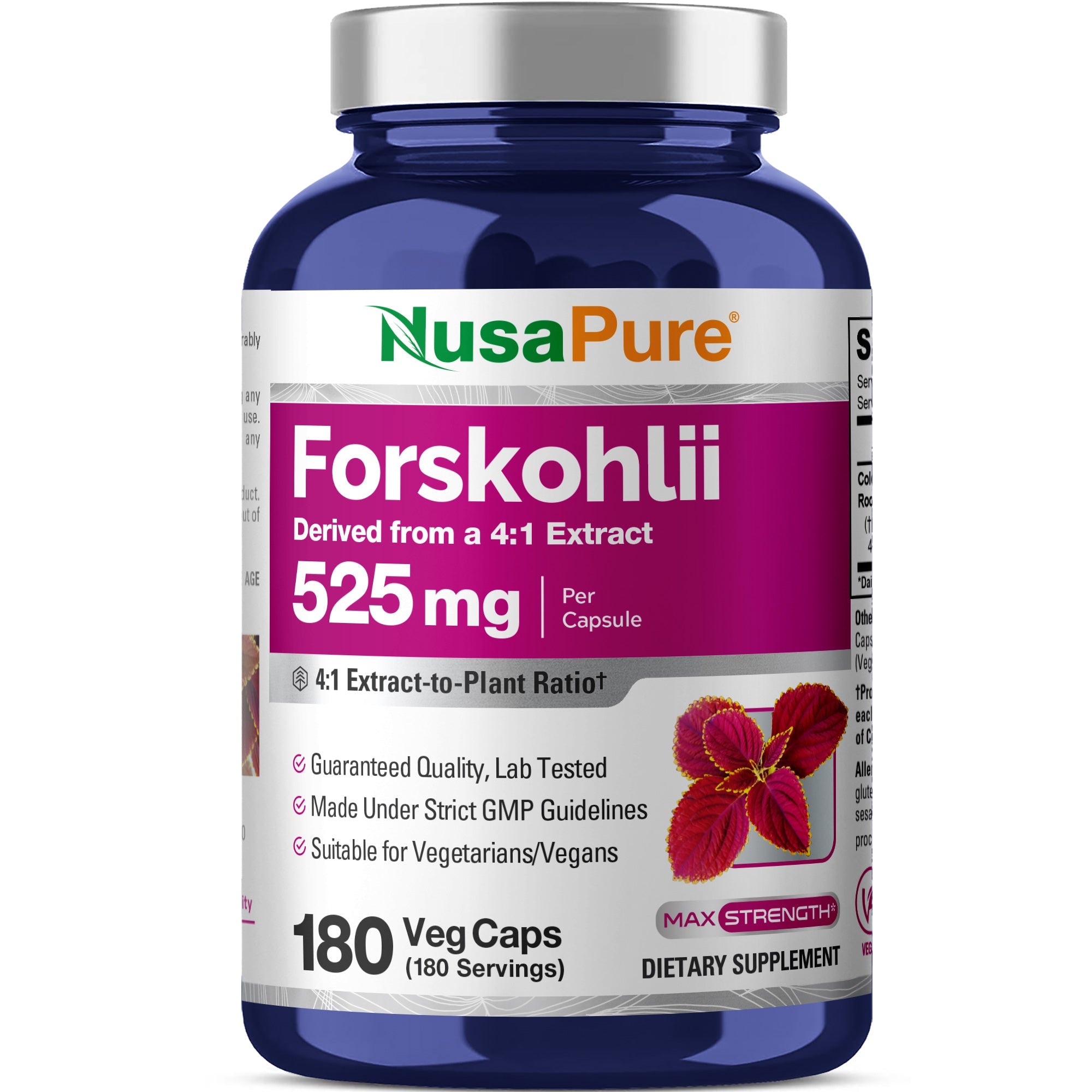 NusaPure Forskohlii 4:1 Extract, 525 mg per Veggie Caps - 180 Capsules (Non-GMO, Vegan & Gluten Free)