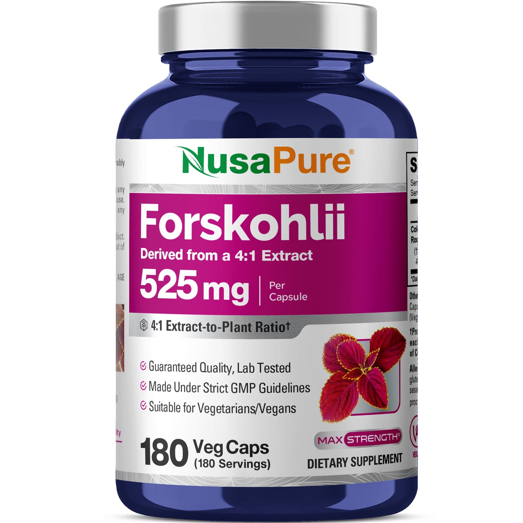 NusaPure Forskohlii 4:1 Extract, 525 mg per Veggie Caps - 180 Capsules (Non-GMO, Vegan & Gluten Free)