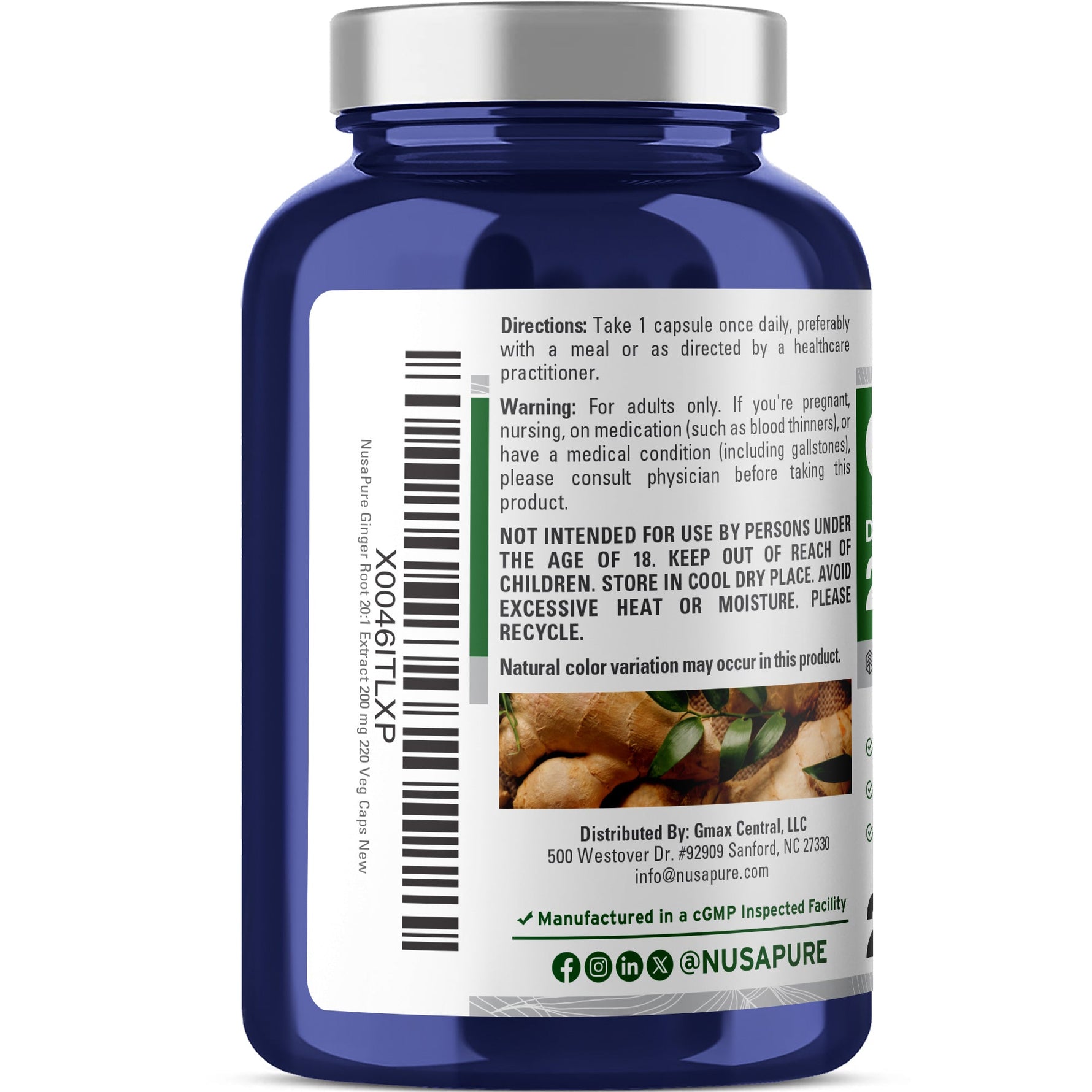 NusaPure Ginger Root Capsules 20:1 Extract, 200 mg per Veggie Caps | 220 Count | Non-GMO
