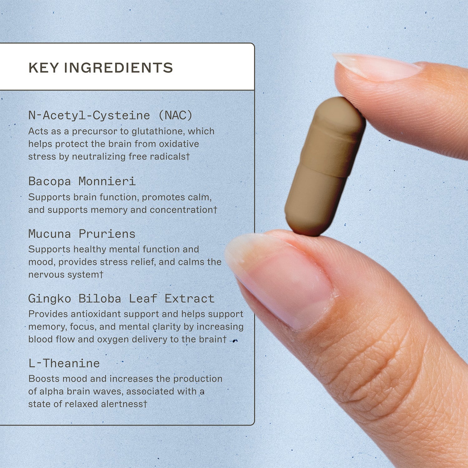 NeuroLive