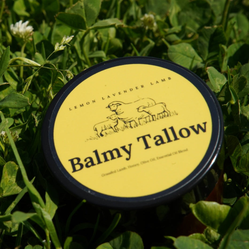 Lemon Lavender Tallow Balm | Calming Natural Moisturizer | Balmy Tallow