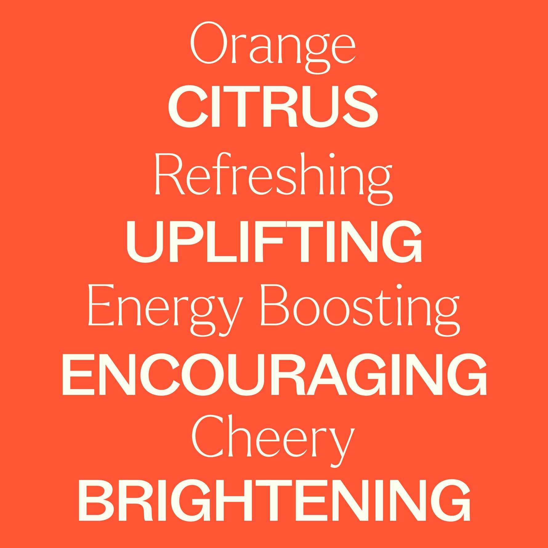 Orange Essence Oil
