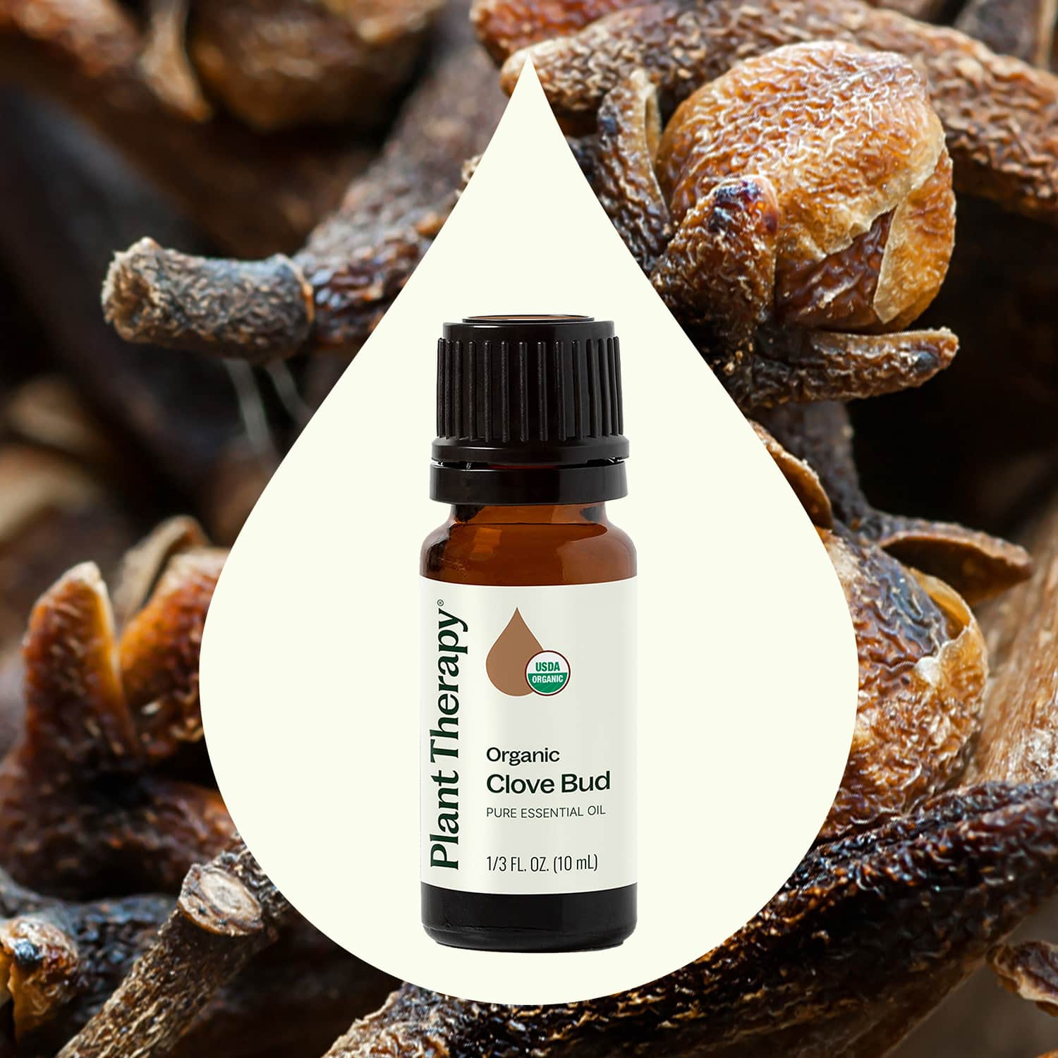 Organic Clove Bud Essential Oil