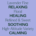 Organic Lavender Fine Essential Oil