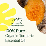 Organic Turmeric CO2 Extract