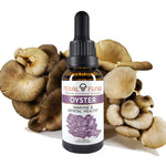 Oyster (Pleurotus ostreatus)