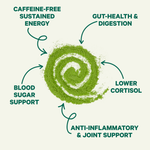 Pure Moringa Powder for Energy