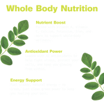 Pure Moringa Capsules for Energy