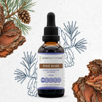 Pine Bark Tincture