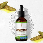 Pine Pollen Tincture