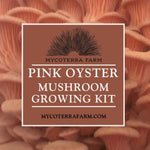 Pink Oyster Mushroom Grow Kit