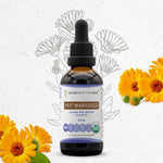 Pot Marigold Tincture
