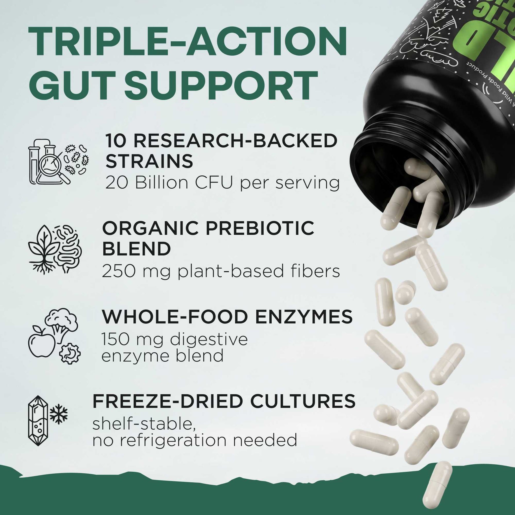 Prebiotics & Probiotics, 30 servings – Gut Health & Digestion Support