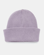 Alden Beanie