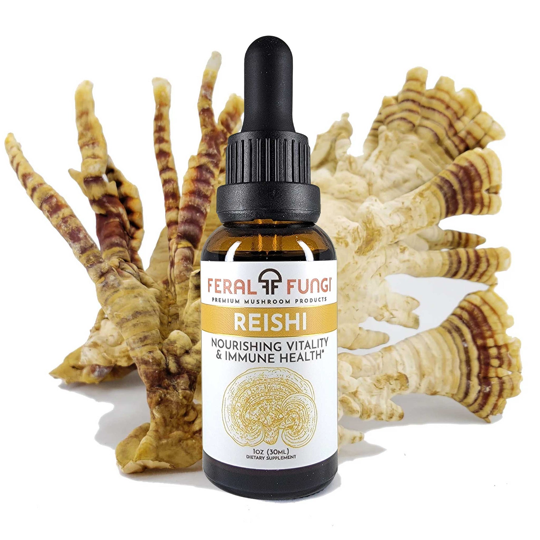 Reishi (Ganoderma lucidum)